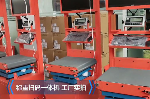 電商物流快遞專用動(dòng)態(tài)掃碼稱重設(shè)備視頻